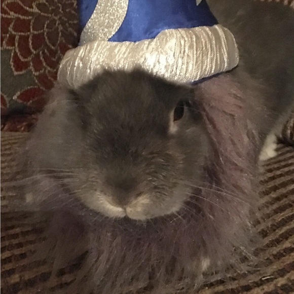 Meet your Posher, Mary: PLEASE READ - Picture 14 of 16